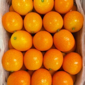 Kumquat