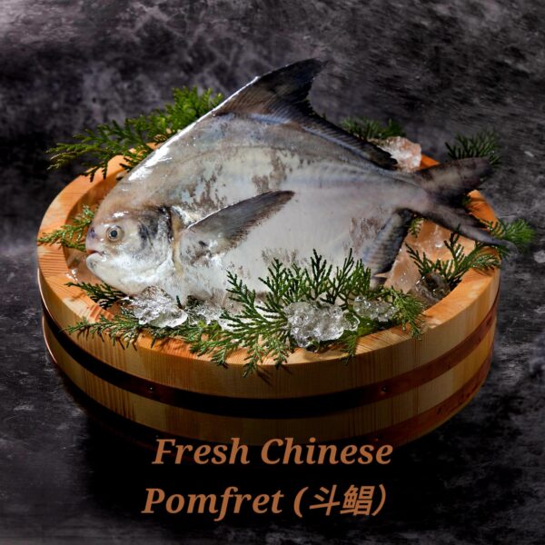 Chinese Pomfret