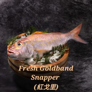 Goldband Snapper