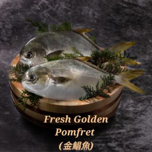 Golden Pomfret