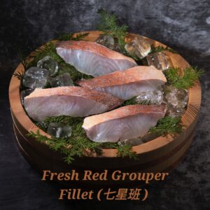 Red Grouper Fillet