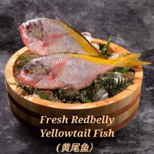 Redbelly Yellowtail Fish