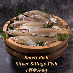 Silver Sillago Fish