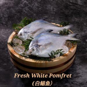 White Pomfret