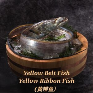 Yellow Belt Fish